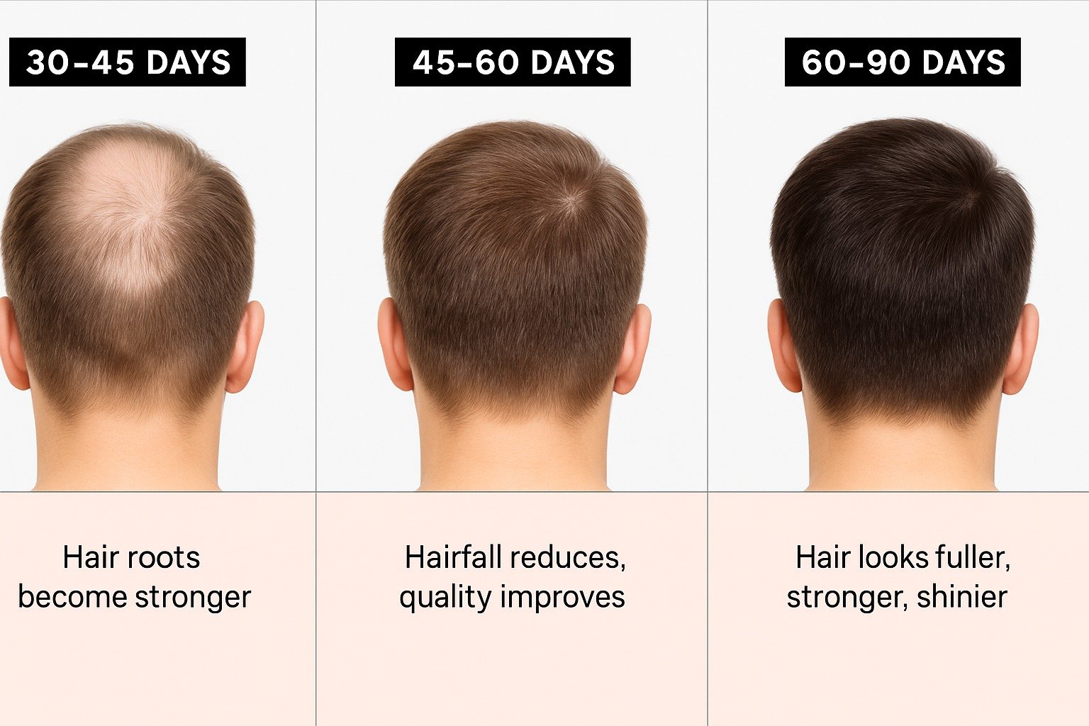 Nutribliz promotional banner